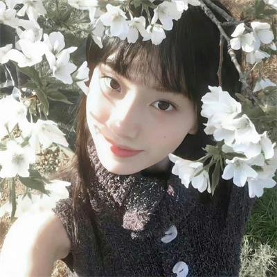 高岭之花2
